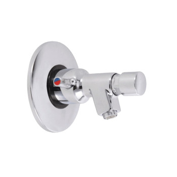 Self Closing Mixer Bib Tap