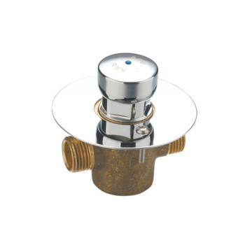 Chrome Push Valve With Wall Plate - FR8800