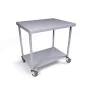 900 x 700mm Mobile Stainless Steel Table