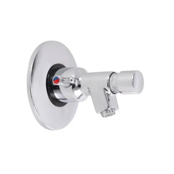 Self Closing Mixer Bib Tap