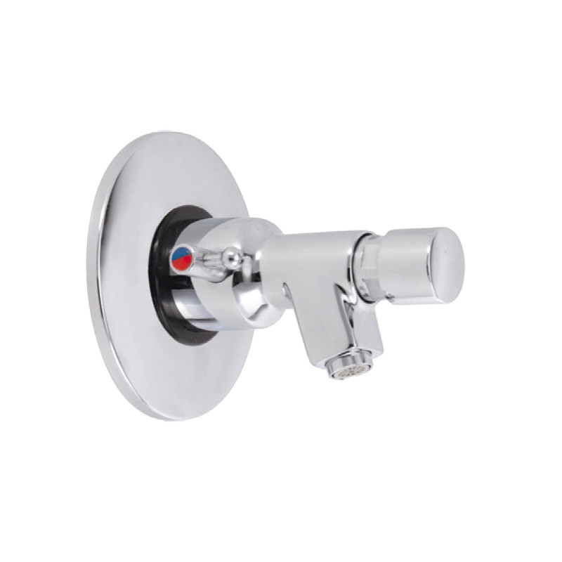 Self Closing Mixer Bib Tap