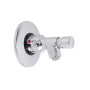 Self Closing Mixer Bib Tap